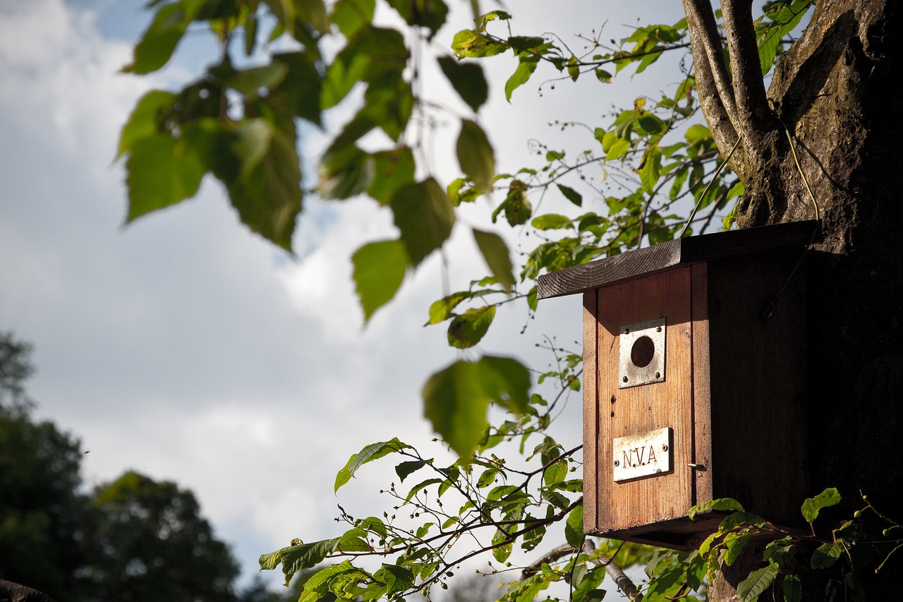4 Easy-to-Make Bird Feeders Using Recycled Materials